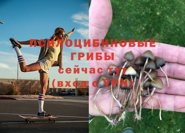 PSILOCYBIN Вязьма